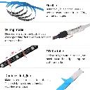 5.webp